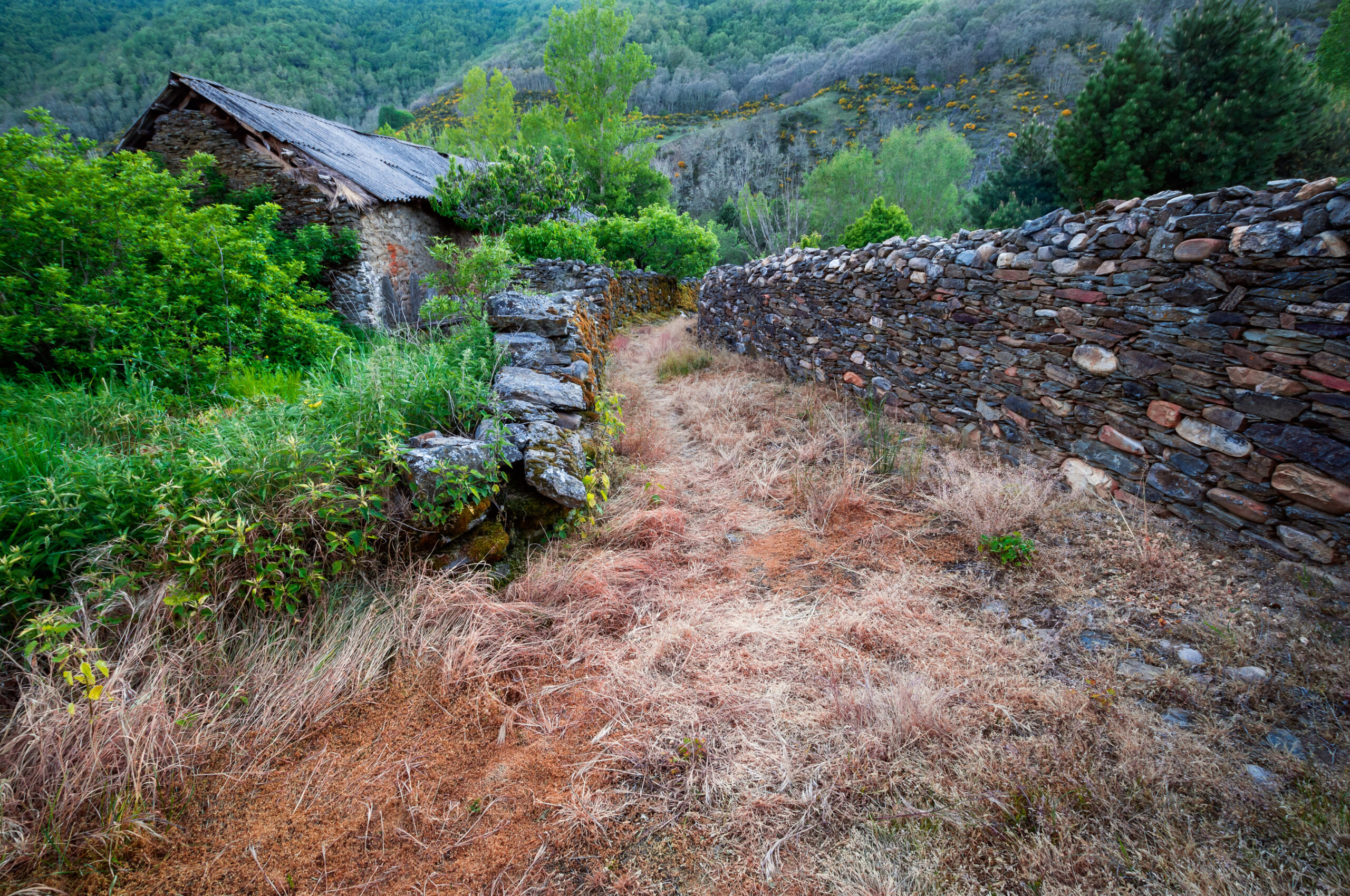 CAMINOS