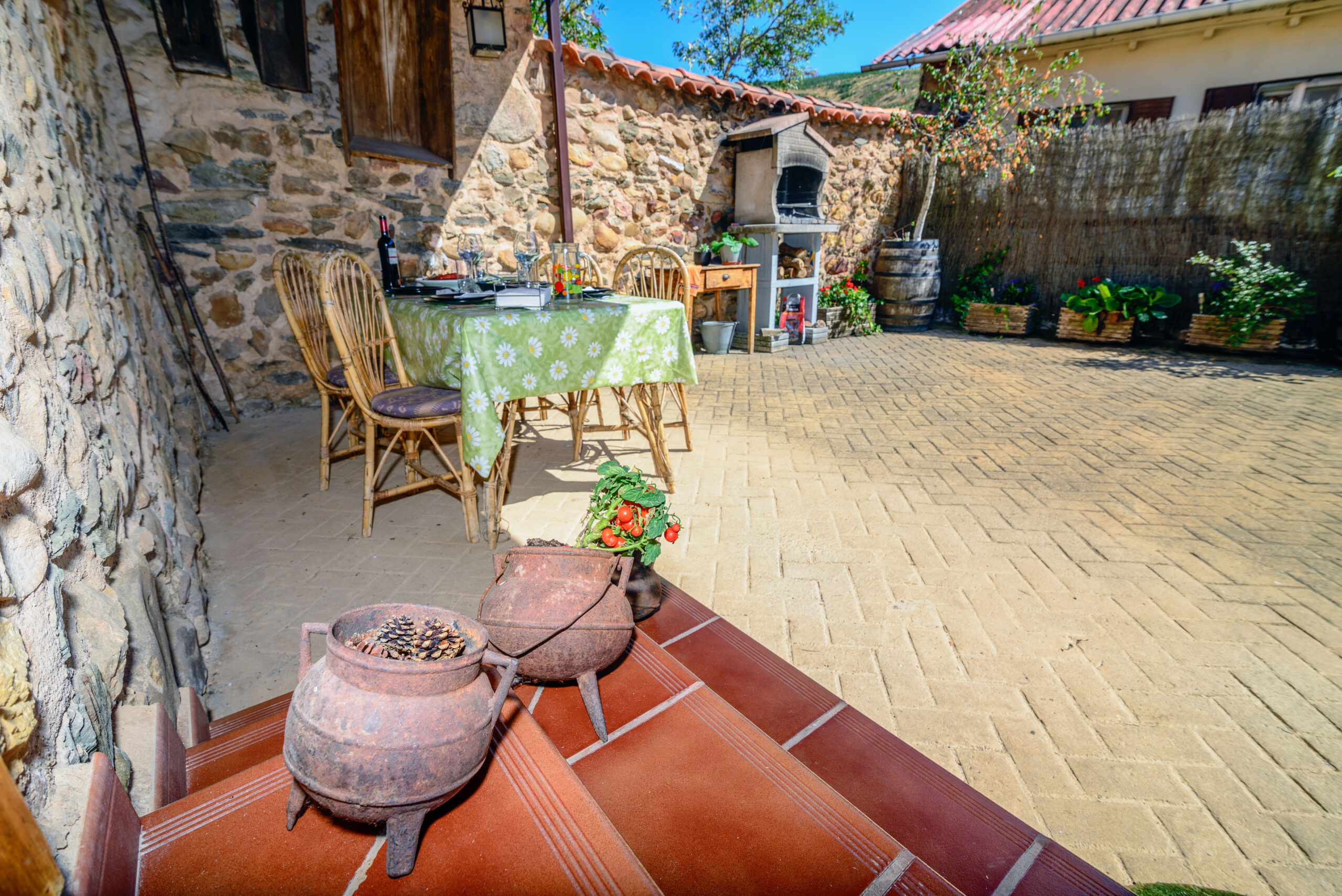 TERRAZA